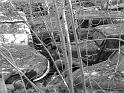 Autofriedhof - 024